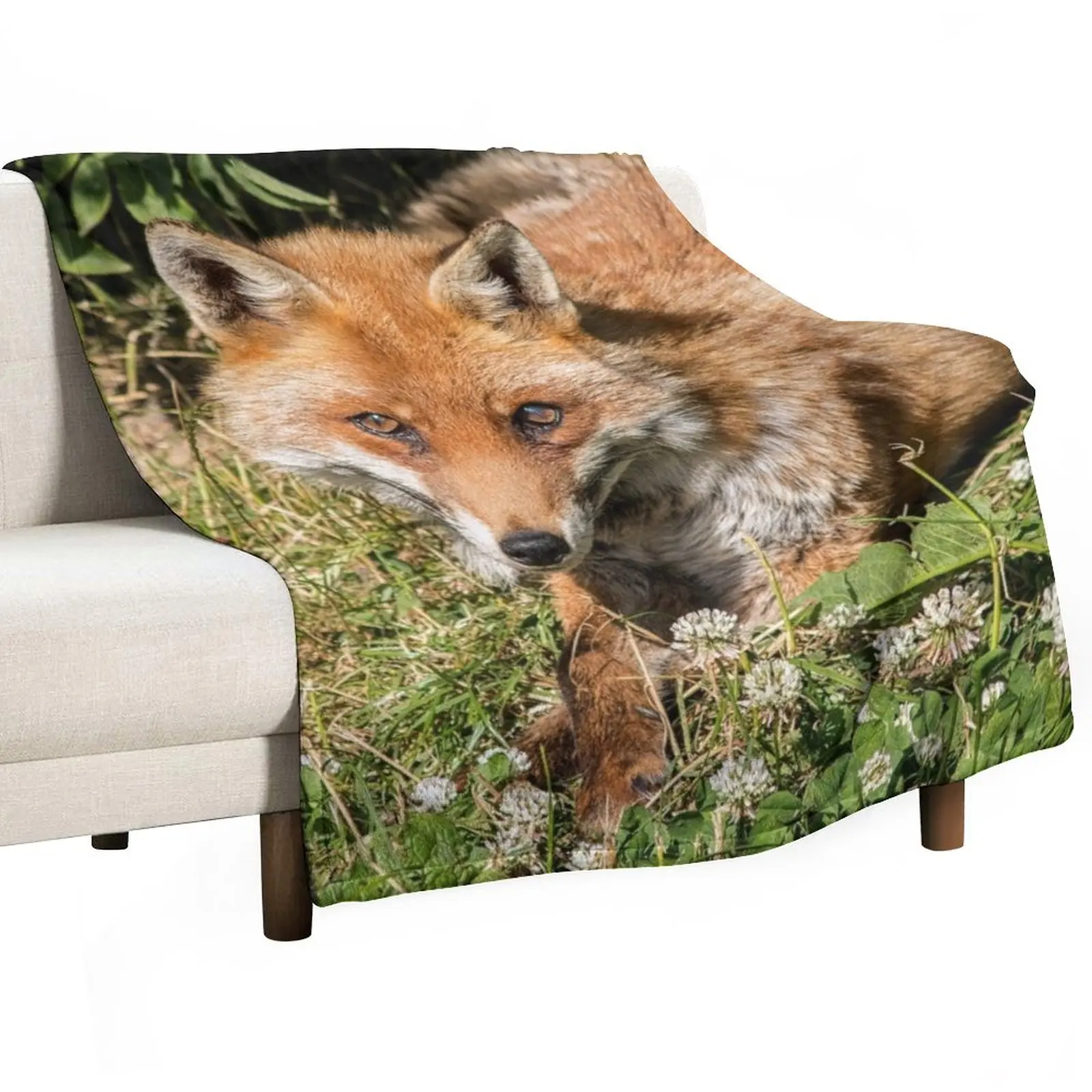 

Beautiful red fox Throw Blanket For Sofa Thin Flannels Blanket Fluffy Shaggy Blanket Fluffy Soft Blankets