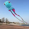 3D 10M Blue Goldfish Soft Kite with 200 Thread Wheels, Professional Outdoor Inflatable Beach Kites Easy To Fly and Tear Proof 4