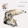Custom Dog/Cat Ugly Pillow,Personalized 3D Animals Portrait Pillow,Pet Lover Memorial Cushion Creative Gift Sofa Throw Pillow 3