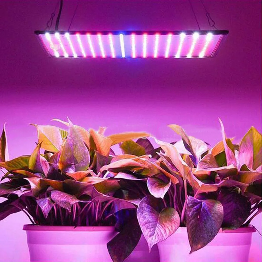 풀 스펙트럼 성장 라이트 레드 블루 LED 225 LED 성장 램프, 실내 원예 야채 재배 텐트용 풀 스펙트럼 식물 램프, 45W