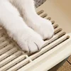 Anti-Splash Small Cat Bedpan - Pet Sandbox & Kitten Tray Design Practical Cats Toilet with Easy Cleaning Must-Have Cat Supplies 5