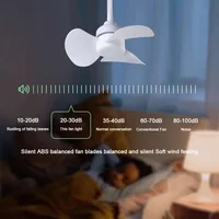 Adjustable Holder Fan