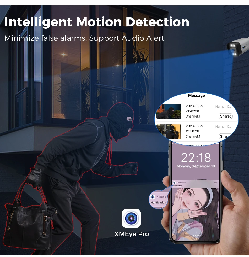 Two way audio capability shown