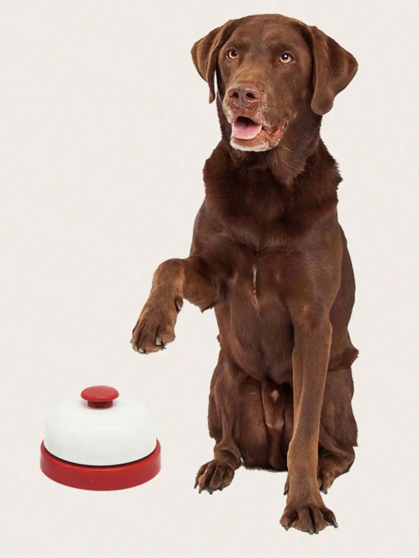 1pc Pet Interactive Bell Toy Dog Training Called Dinner Small Bell Puppy Feeding Reminder Solid Color Ring Teddy Dog Products