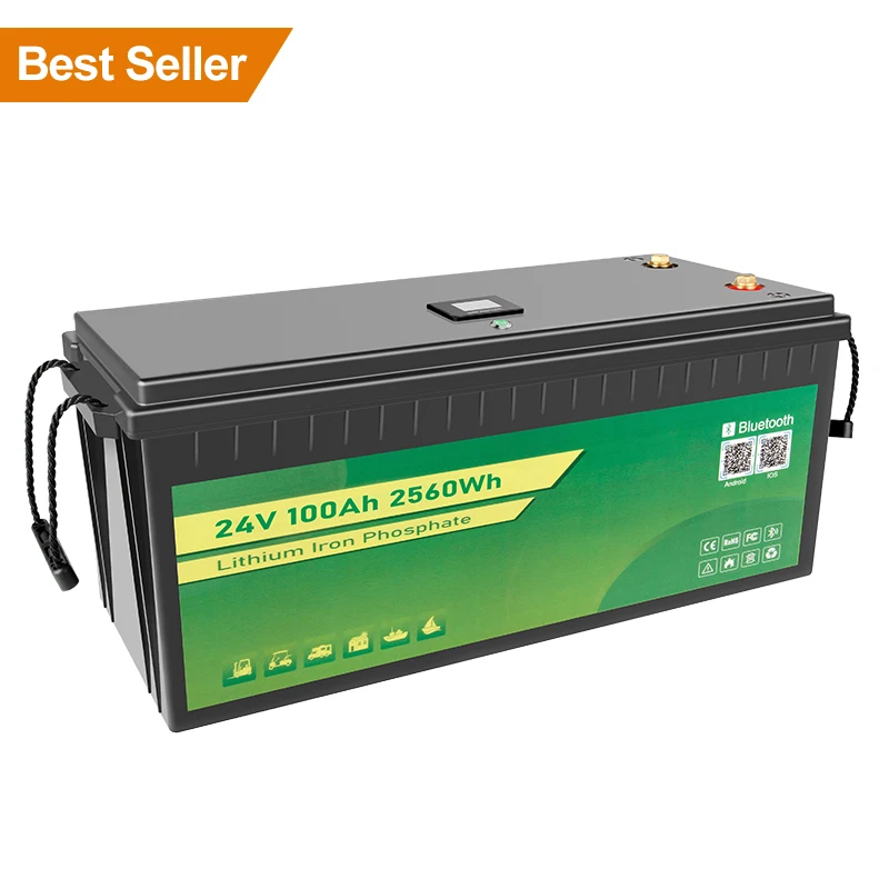 Litime 24V 100Ah LiFePO4 Lithium Battery 2.56kWh for RV Off-grid Solar  Marine