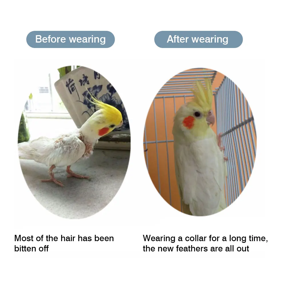 Parrot Collar Elizabeth Protect Bird Recovery Collar Around the Neck Scarf Cool Cape New For Rodents Soft Padded Neck Coverage bird neckband
