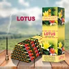 LOTUS