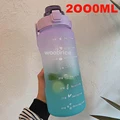 2L purple blue