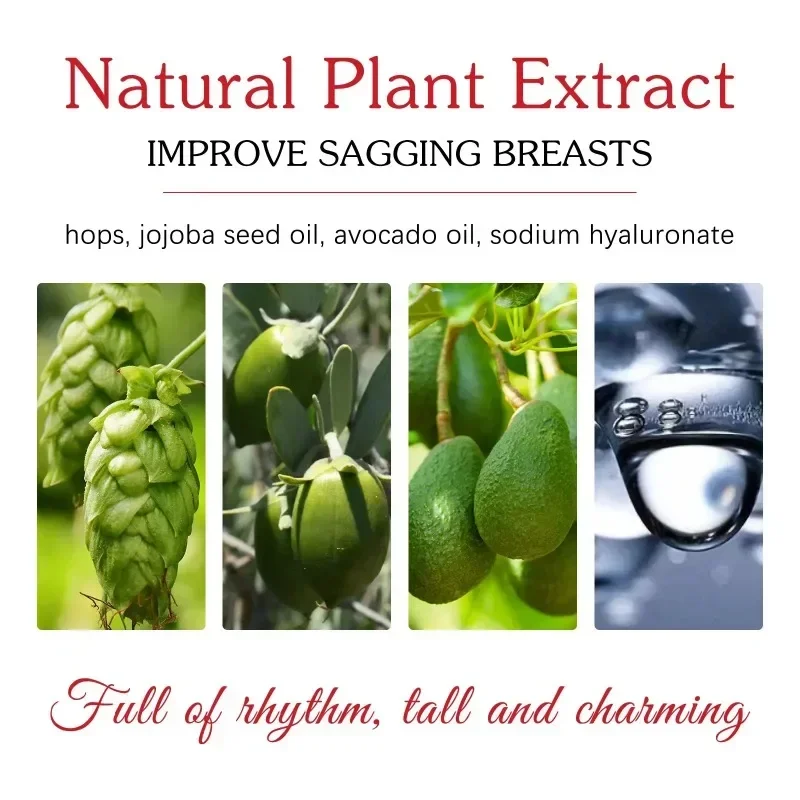 Breast Enlargement Cream 1PCS 20g Female Chest Care Lift Firming