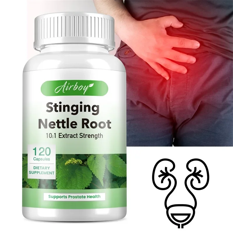 Stinging Nettle Root Promotes Prostate and Urinary Tract Health Reduces Frequent Urination stinging nettle root supplement