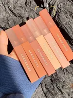 HERORANGE HR12Mud Matte Velvet Mist Concealed Lip Patterns, Comfortable and Non Drying, Simple and Compact 2