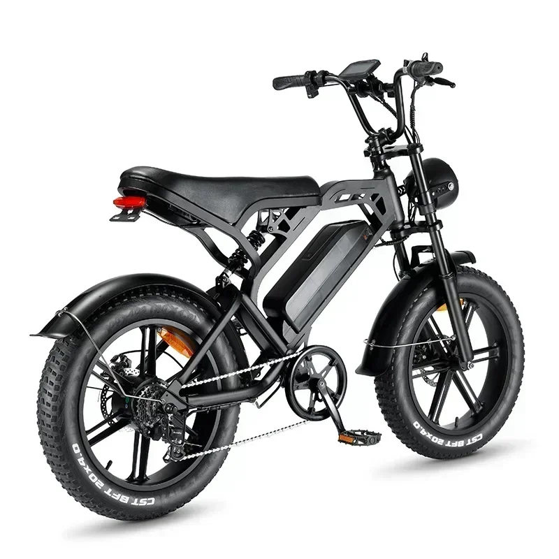 Ebike V20 1000W 48V20AH Back Seat Fat Tire Electric Bike Beach Cruiser Off-Road Adult Mountain