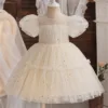 Children Luxury Party Formal Dress Toddler Kids Ruffle Sequin Princess Evening Dress Baby Girls Pageant Gown Wedding Tulle Dress 1