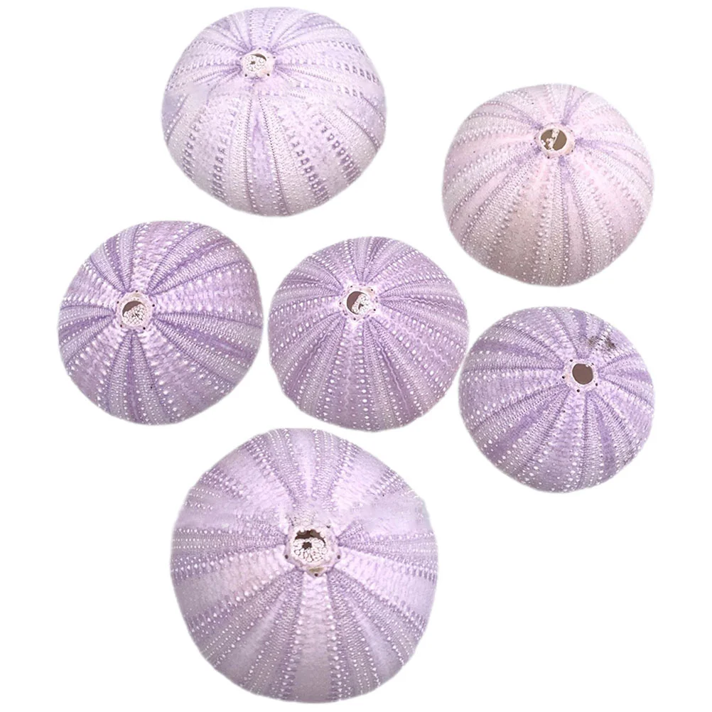 

Natural Shell Conch Urchin Planter Sea Decors DIY Handmade Gardening Decorations Fish Tank Ornament Vases Home