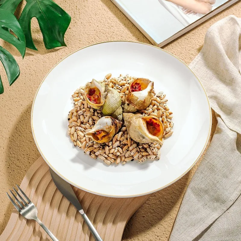 White Porcelain Dinner Plates, Set of 12, 10.5", White Dishes, Porcelain Dinner Plates, Plate Set for 12