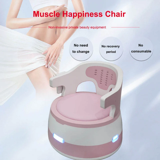 EMS Pelvic Floor Chair Muscle Stimulator Kegel Exercise Trainning Pelvic  Floor Muscle Postpartum Repair Machine for Woman - AliExpress