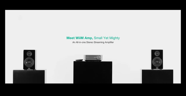 WiiM Amp Multiroom Streaming Amplifier with AirPlay 2, Voice Control –  EgoldenPlay
