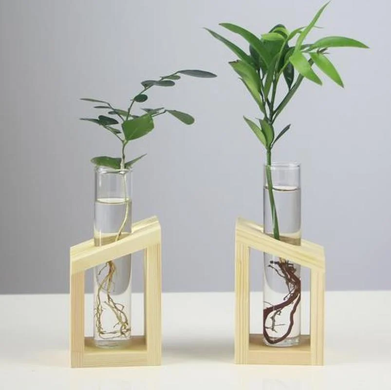 Test Tube Flower Vase in 2023  Flower vases, Test tube, Aesthetic