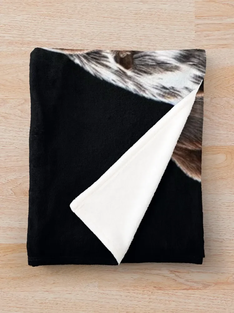 ������� ���� �ܹ� ������ ��ô ���, �ʴ��� ��ô ����, ũ�������� ���, ��Ʈ ���