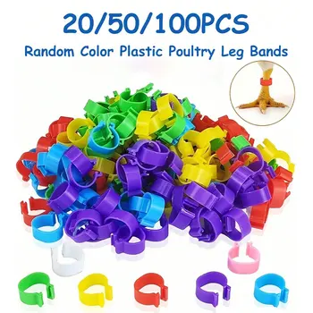 20/50/100pcs Plastic Ring for Parrot Pigeon, 8mm Bird Leg Bands, Colorful Numbered Marking Training ID Foot Rings 001-100 1