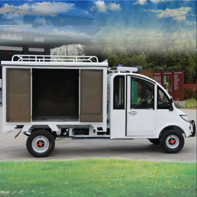 Factory Direct Sales Electric Cargo Van with EEC COC CCC Lithium Battery 60V Unique Design Electric