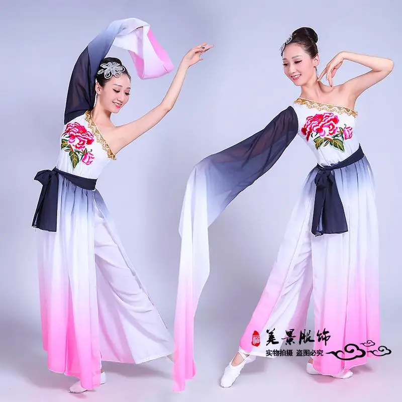 Classical dance costume female Yangko dance single shoulder sleeve dance costume Chinese style national costume