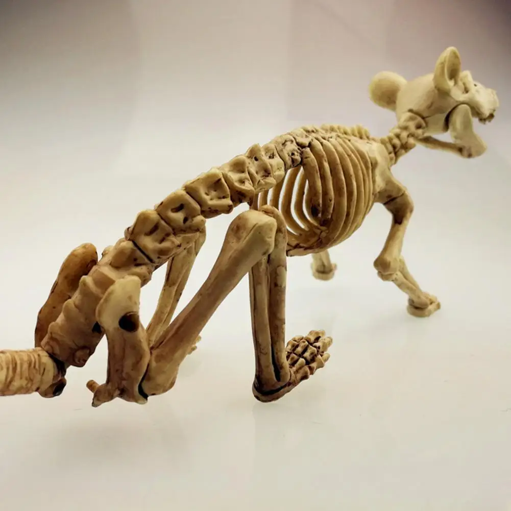 

Украшение для Хэллоуина, мышь, скелет, мышь, мышь для Хэллоуина, скелет, украшение, реалистичное украшение для костей