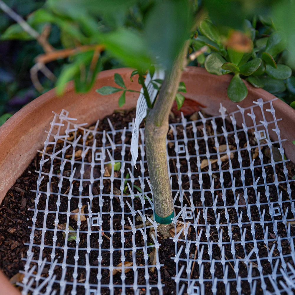 Рисунок 4 - Прочный коврик, отпугивающий пластиковый