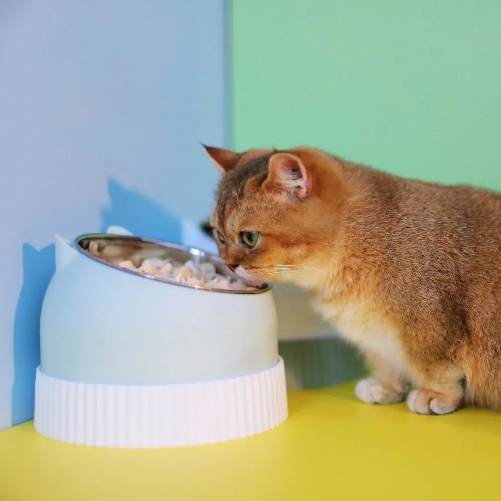 

Наклонные аксессуары для домашних животных, съемные пластиковые миски из нержавеющей стали для щенков, миски для кормления собак, раздатчик корма для кошек