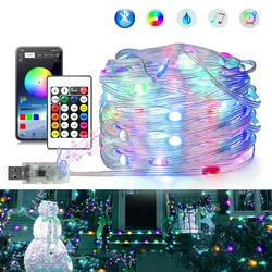 Waterproof Smart 5V RGBIC Chasing WS2812B Fairy Led String 10m 20m 30m Bluetooth Music Sync Dreamcolor Christmas Light Strip