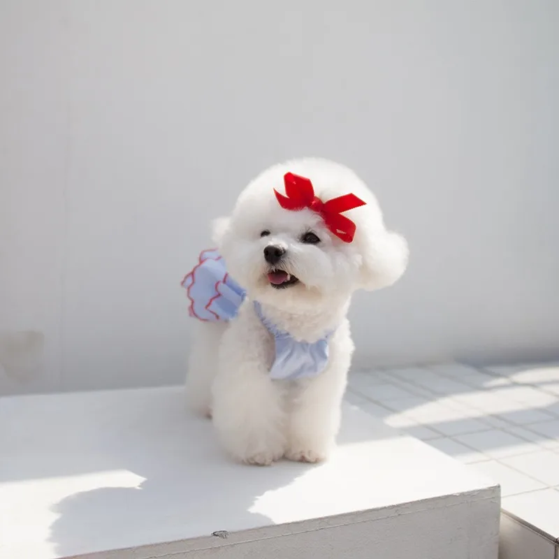 Summer Pet Dog Dress Skirt Thin Mesh Dogs Clothes For Small And Medium Chihuahua French Bulldog Yorkshire Costume Perro