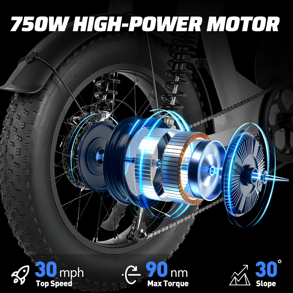 Electric Bike Off-Road S1 1000W Motor 48V 20AH Lithium battery city Commuter Full Suspension Ladies All terrain 20*4.0 ebike