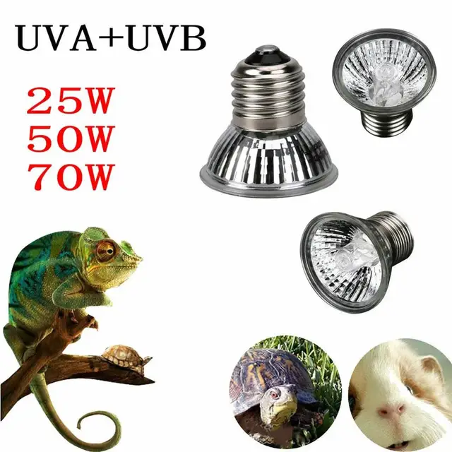 25/50/75W UVA UVB Reptile Heating Light Bulb Snake Full Spectrum Light Bulbs 1Pcs Basking Light Turtle Heating Pet UV I0G5 3