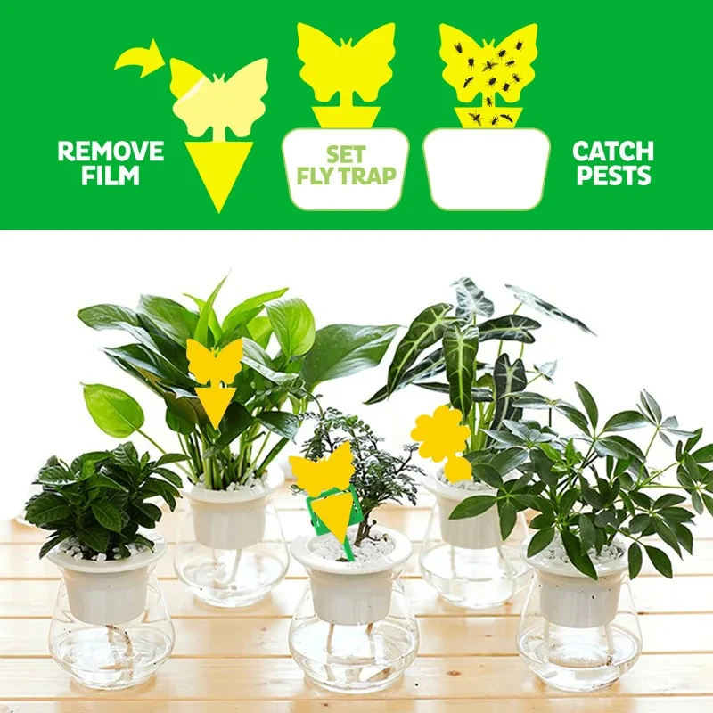 5pcs Sticky Traps Home Greenhouse Sticky Board Multiple Flying Insect Catching Control Sticker Pot Pest Sticker Double-sided