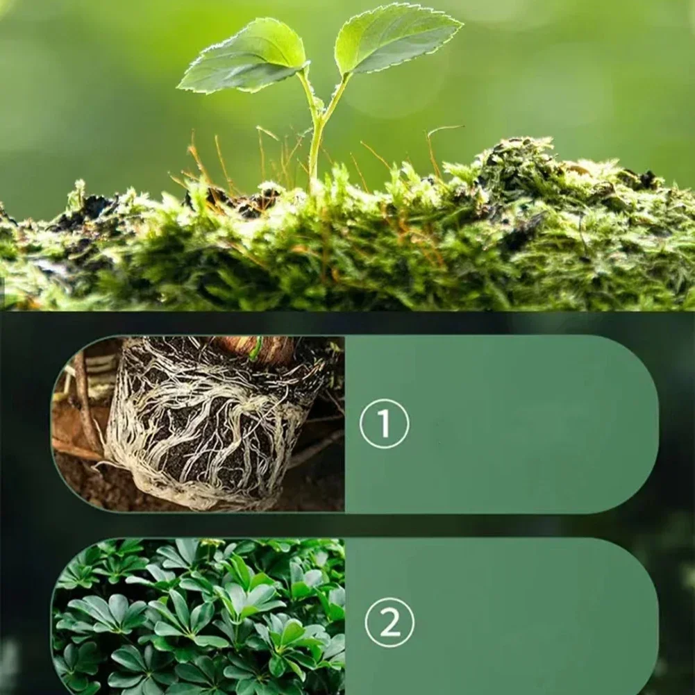 Slide image ae09b15d72c540eaa17be99e14579d40