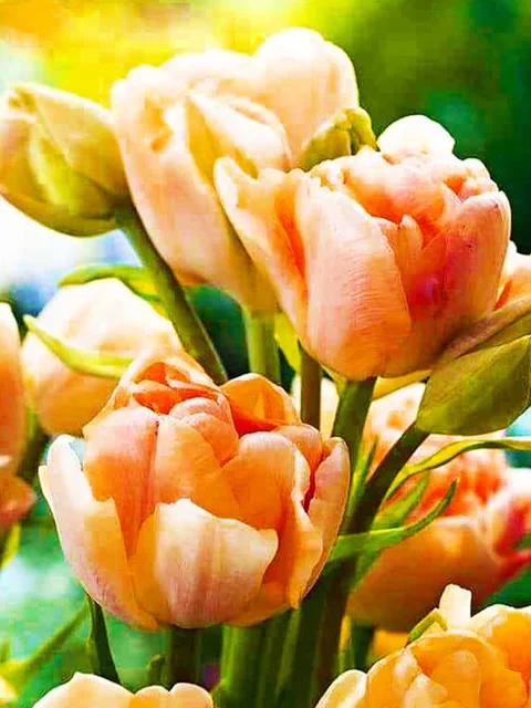 5D Diamond Painting Flower Full Diamond Tulip Rose DIY Diamond Mosaic Art Painting Cross Stitch Rhinestone Embroidery Home Decor CY-HH01676AE6