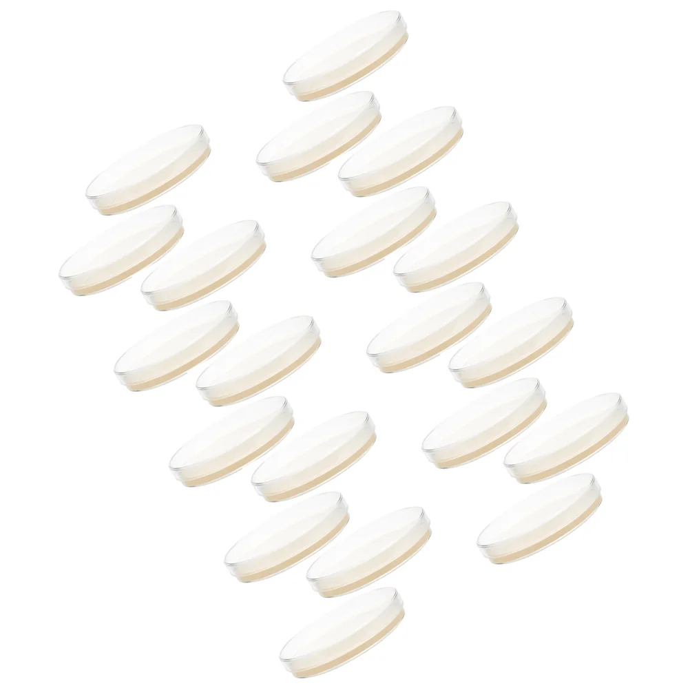

Petri Disheseses Prepoured Petri Disheses With Agar 20Pcs 7Cm Potato Dextrose Prepoured Petri Disheses With Agar Plates