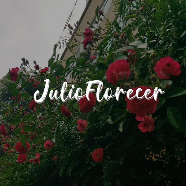 JulioFlorecer Plus Store