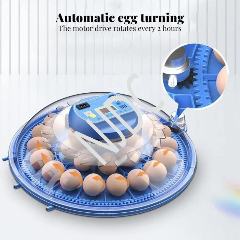 

For Egg Turning Chicken Duck Quail Birds Brooder Incubation Machine EU/US/AU Plug 30 Eggs Incubator Automatic Egg Incubator