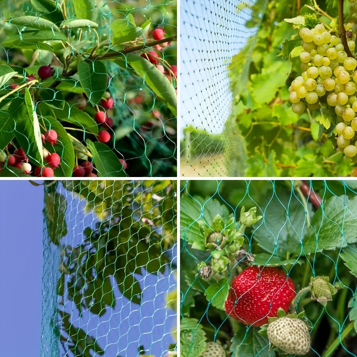 Garden Netting Bird Protection S05adc23d8830401b8e51a3e53da5ceafo