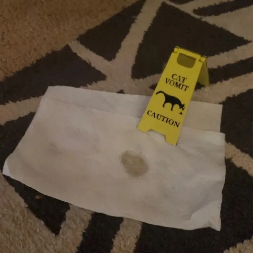 Funny Cat Vomiting Warning Sign, Humorous Pet Lover Gift for Indoor Outdoor Garden Decor, Novelty Safety Alert Plaque for Home