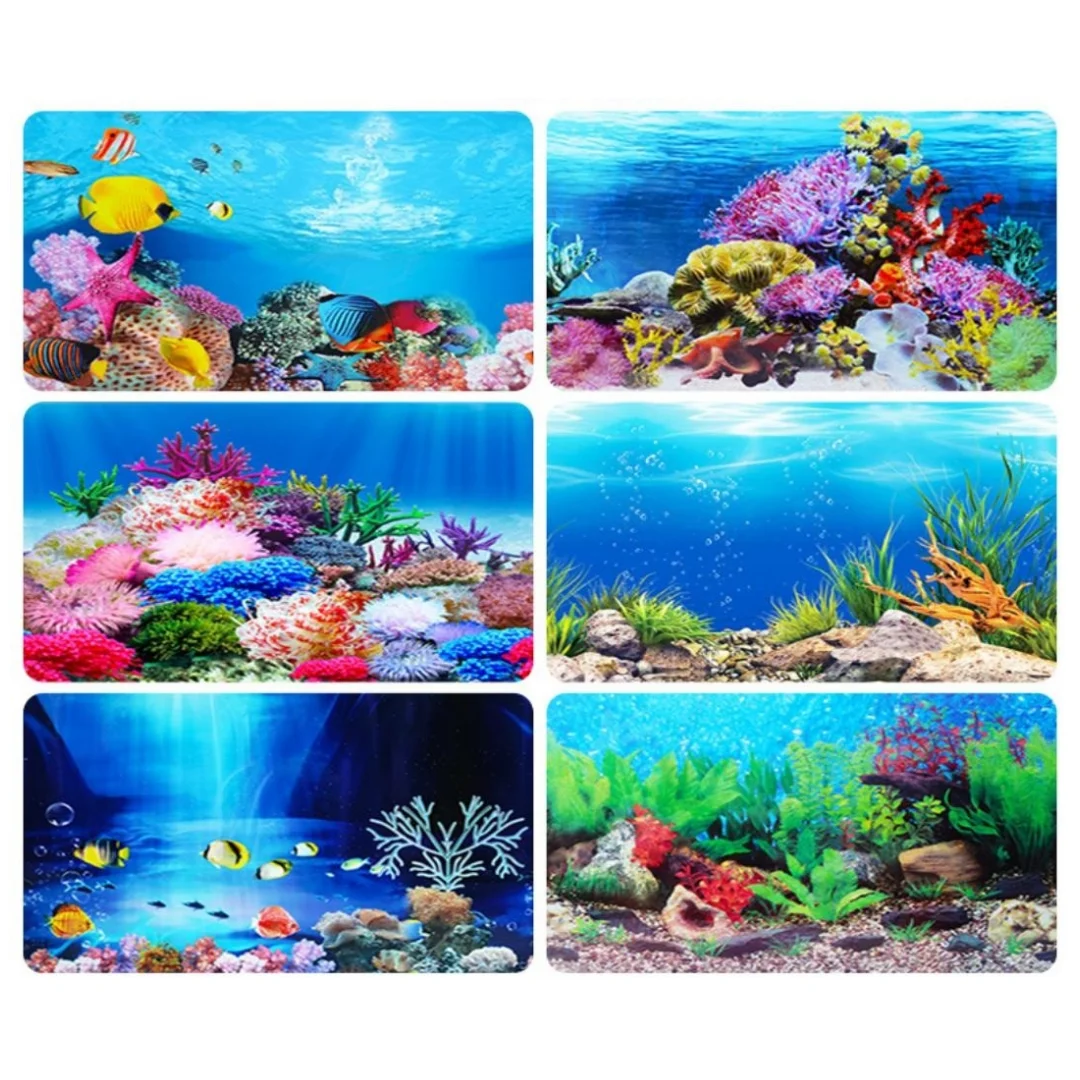 Aquarium Background 2