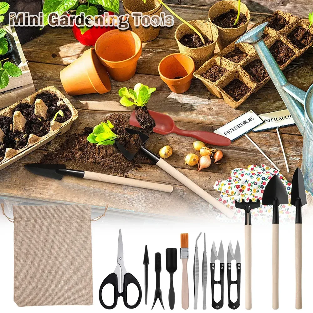 13PCS Succulent Plants Tool Set for Indoor Plant Home Garden Kit Black Potting Cactus Houseplant Cultivation Tool Gardenning Kit 2