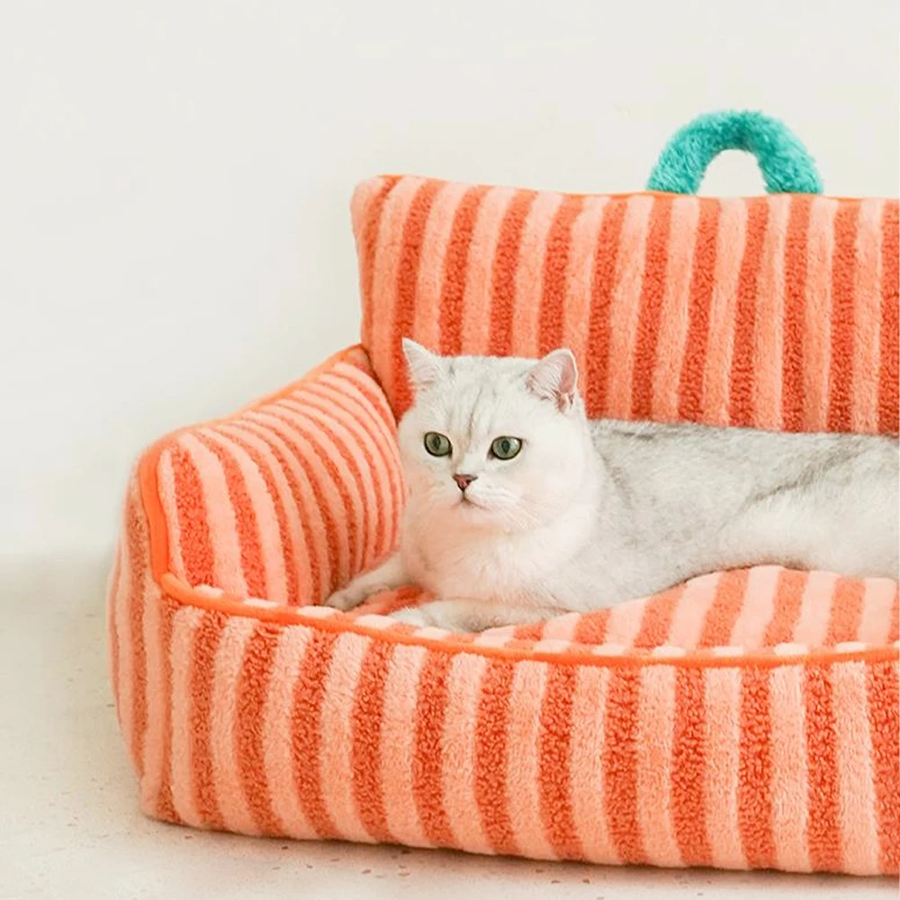 Cats Bed 1
