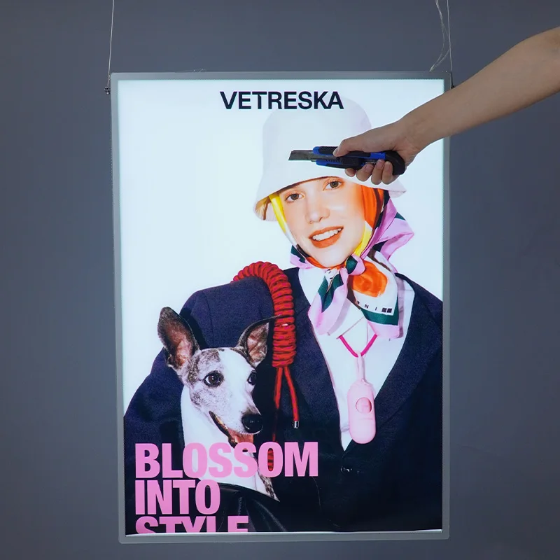 Slide image d5cec6c428c44b72918b4393155a5b72