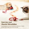 LEMEENQ Cat Interactive Ball Toy Auto Rolling Ball with Tail Rechargeable Smart Pet Interactive Toy Intelligent Mouse for Cat 5