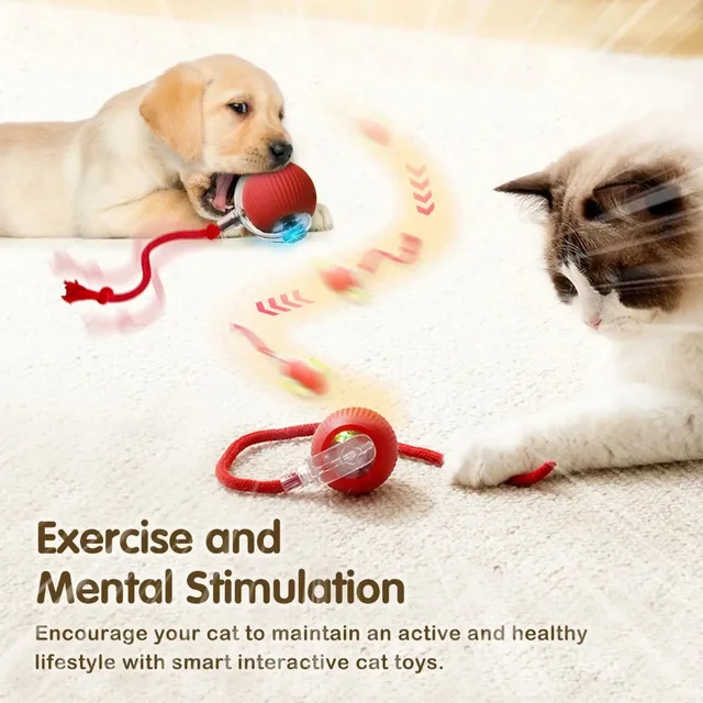 LEMEENQ Cat Interactive Ball Toy Auto Rolling Ball with Tail Rechargeable Smart Pet Interactive Toy Intelligent Mouse for Cat 5