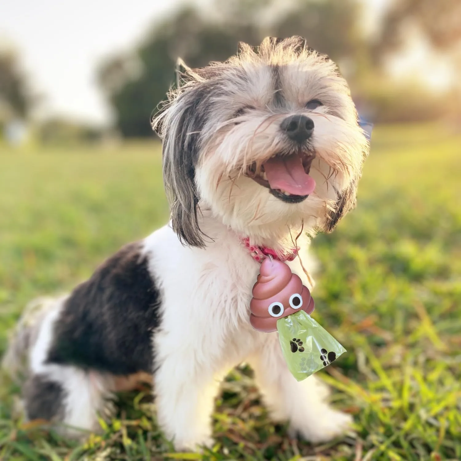 Pet Waste Bag Dispenser 4