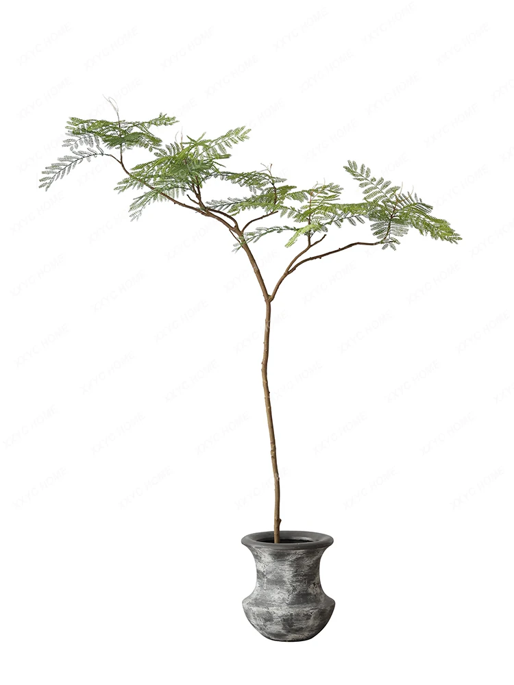 Alta Simulazione Pianta Verde Jacaranda Mosifolia Pavimento Letto E Colazione Soggiorno Zen Bacino Paesaggio Alberi Finti