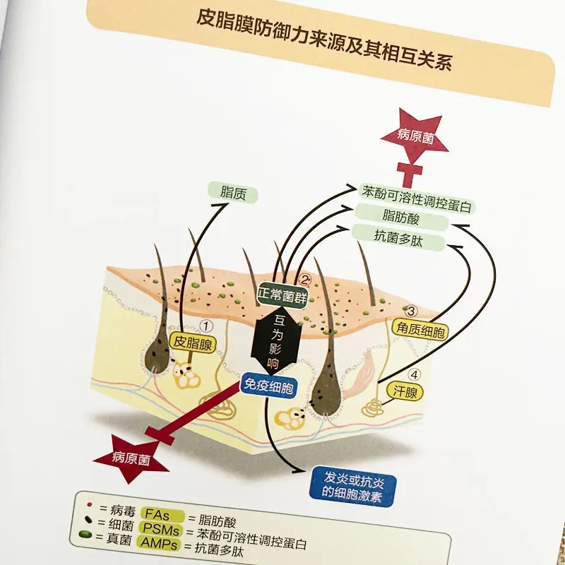 Рисунок 2 - Книги по уходу за здоровьем и генерации волос